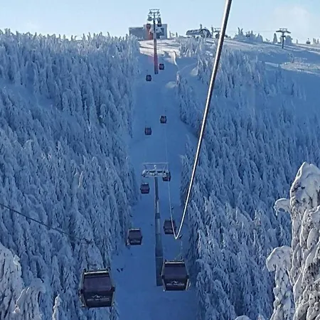 Goski Kopaonik