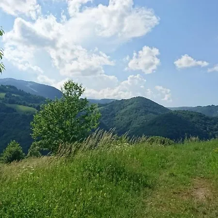 Goski Kopaonik Daire *
