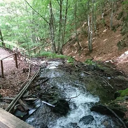 Goski Kopaonik Lägenhet Brzeće
