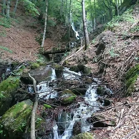 Goski Kopaonik Lägenhet *