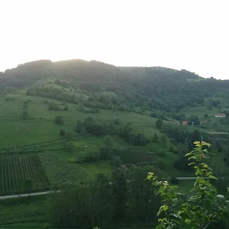 Goski Kopaonik Brzeće