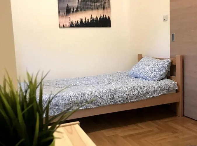 Goski Kopaonik * Brzeće