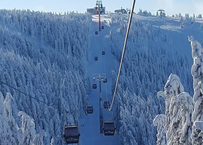Goski Kopaonik