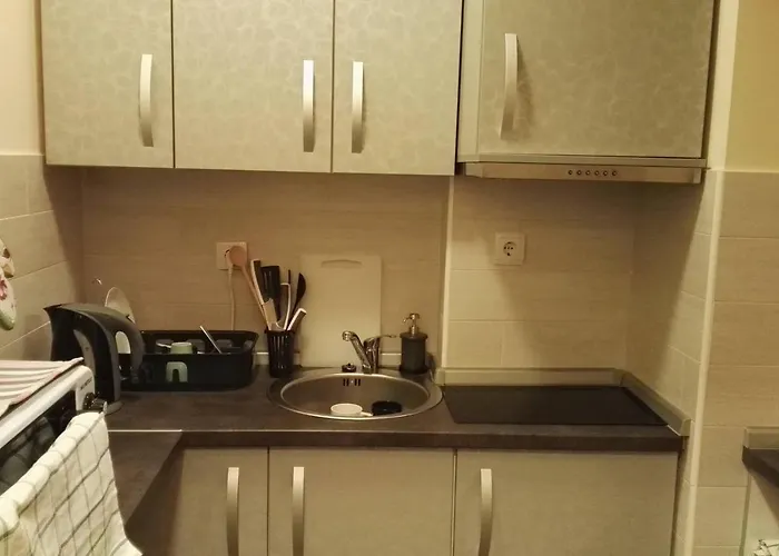 Appartement Goski Kopaonik *