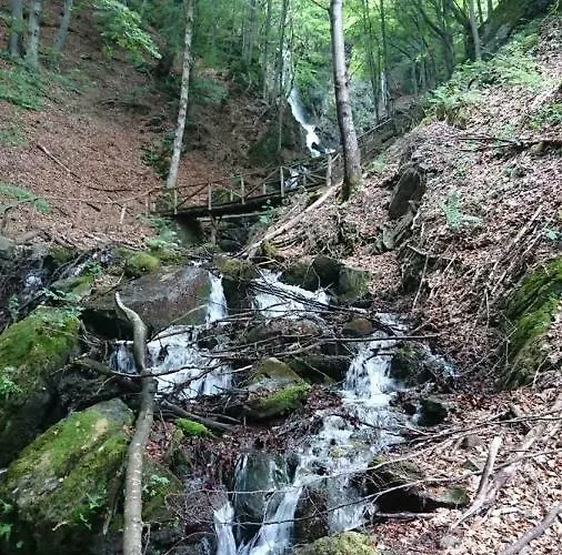 Goski Kopaonik Appartement *