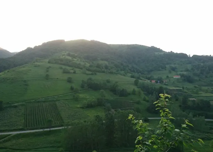 Goski Kopaonik Brzeće