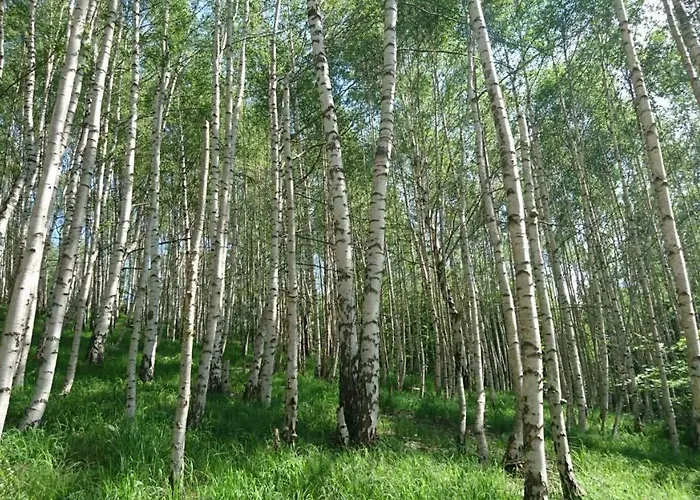 Goski Kopaonik Appartement